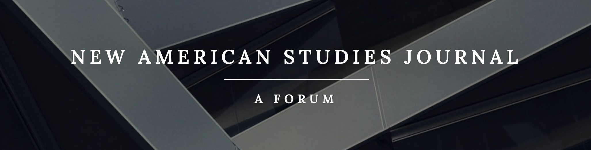 New American Studies Journal logo